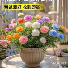 ̫ꖻ����ذ�����Ԏ������ļ����B�_����ֲ���k���҃�����Gֲ