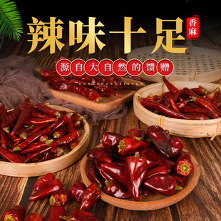 �Ĵ�������С����׃�B���ӏ��^�M���Ƕ��G�l�t�������콷ħ����