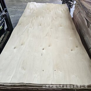 �W�������ǹ��M��ľ�����ж�N���ľƤ��Ƥ�N��ΰ�