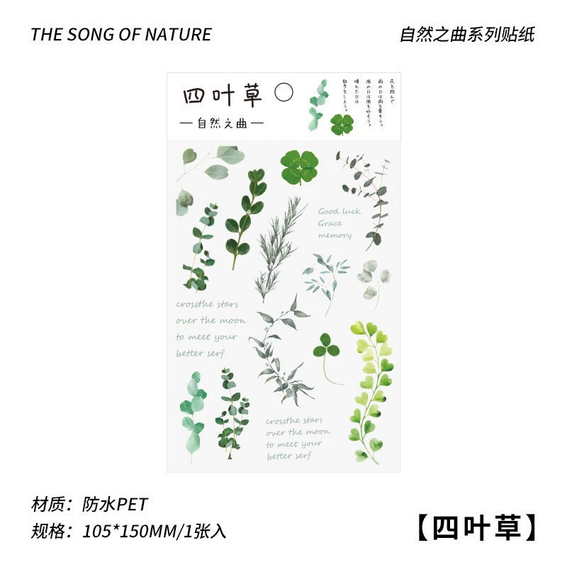 Transparent Waterproof Stickers, Floral & Botanical Designs, Small 3.33×1×0.33 cm, Assorted