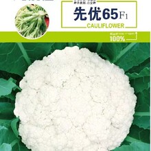���l�ȃ�65�ͺ���Ʒ�|�Y���دB �˻�ѩ�׾o�� �ó���ζ�|�����黨