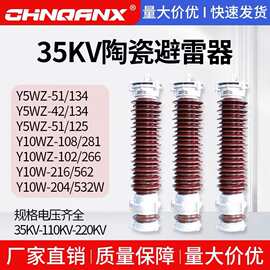 35-110KV-220陶瓷Y5WS氧化锌避雷器Y5WZ-51/134高压Y10WZ-108/281