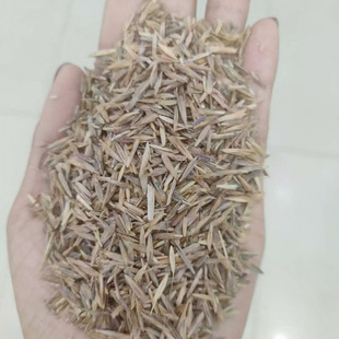 �oâȸ���N�Ӻ���ݟoâ�ݹ�ȸ���˹��݈��h����ɳ�N�Ѳ�����1