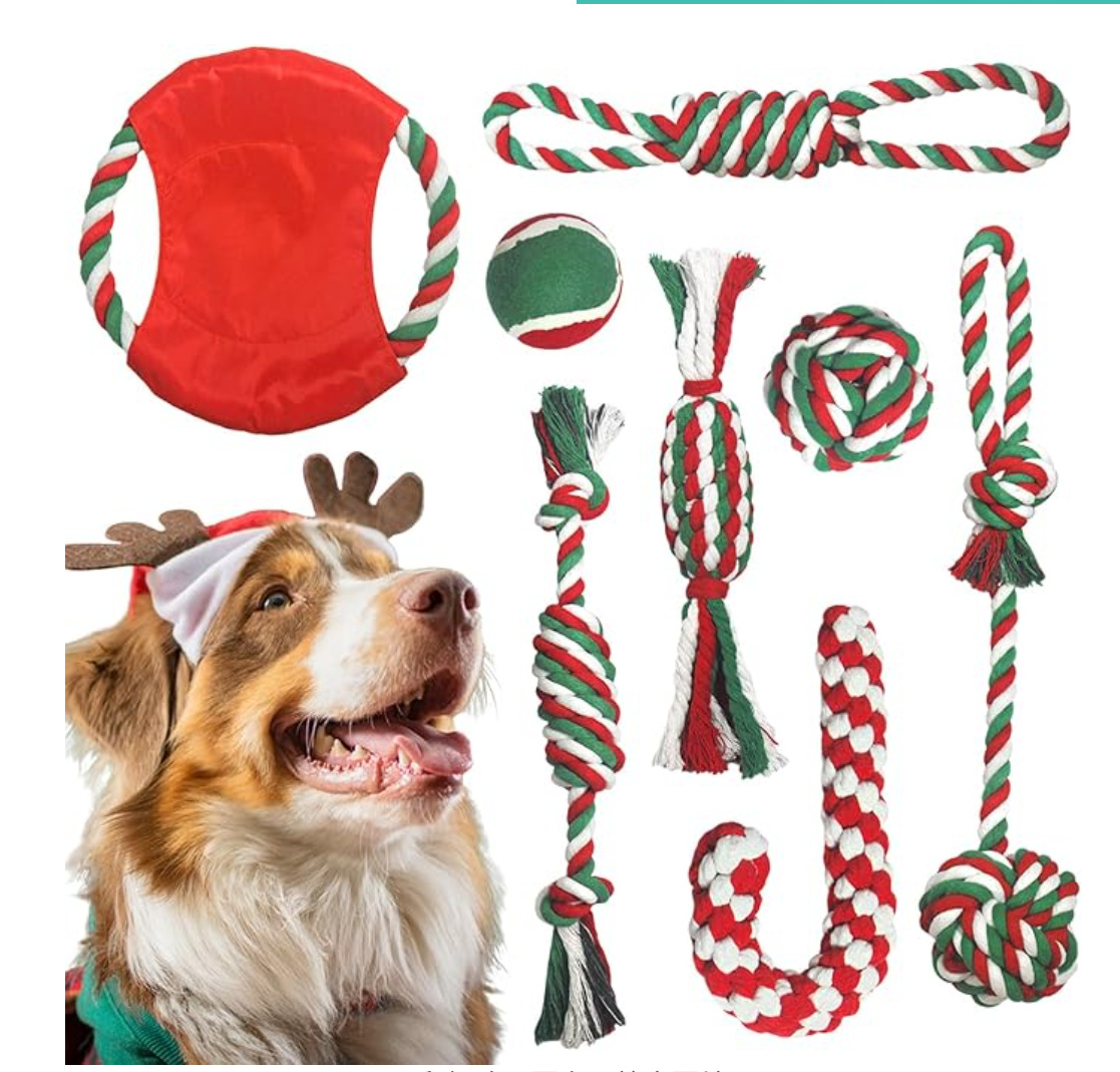 Amazon Pet Toys Factory Supply Combo Set Juguetes de cuerda de algodón Cuerda para mascotas Nugazo Molar Juguetes para perros