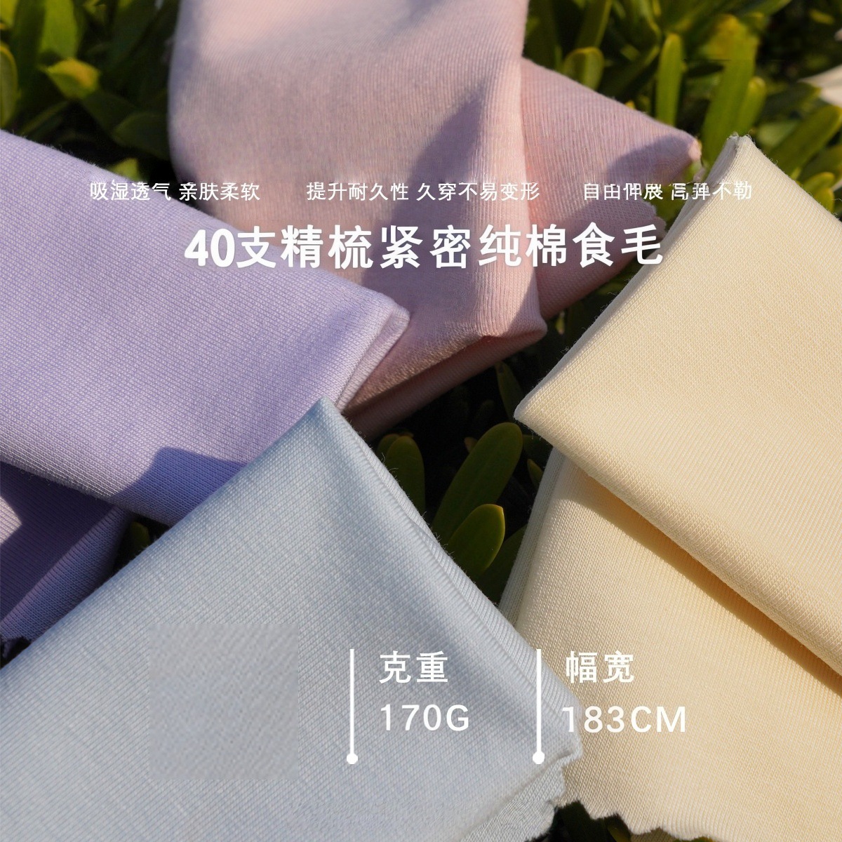 【现货】 时尚必备！40支精梳紧密纯棉食毛 质感十足 内裤布料
