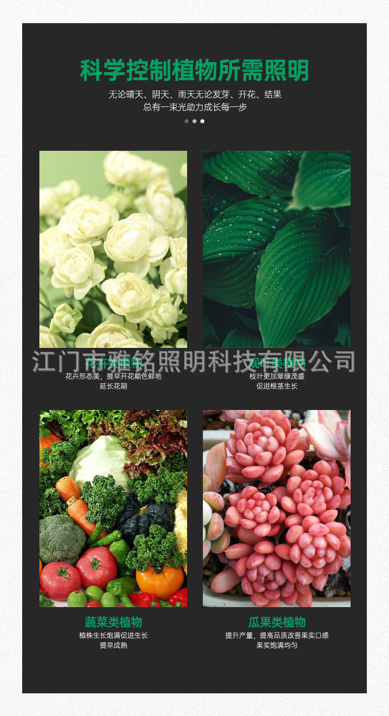 详情_05