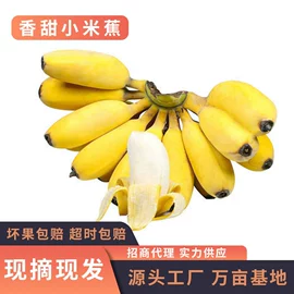 柚;其他水果;番薯类