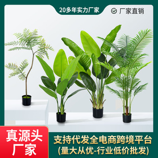 �羳����Gֲ�������˽�ɢβ�����Ը߼��з�����ֲ�����l�پGֲ