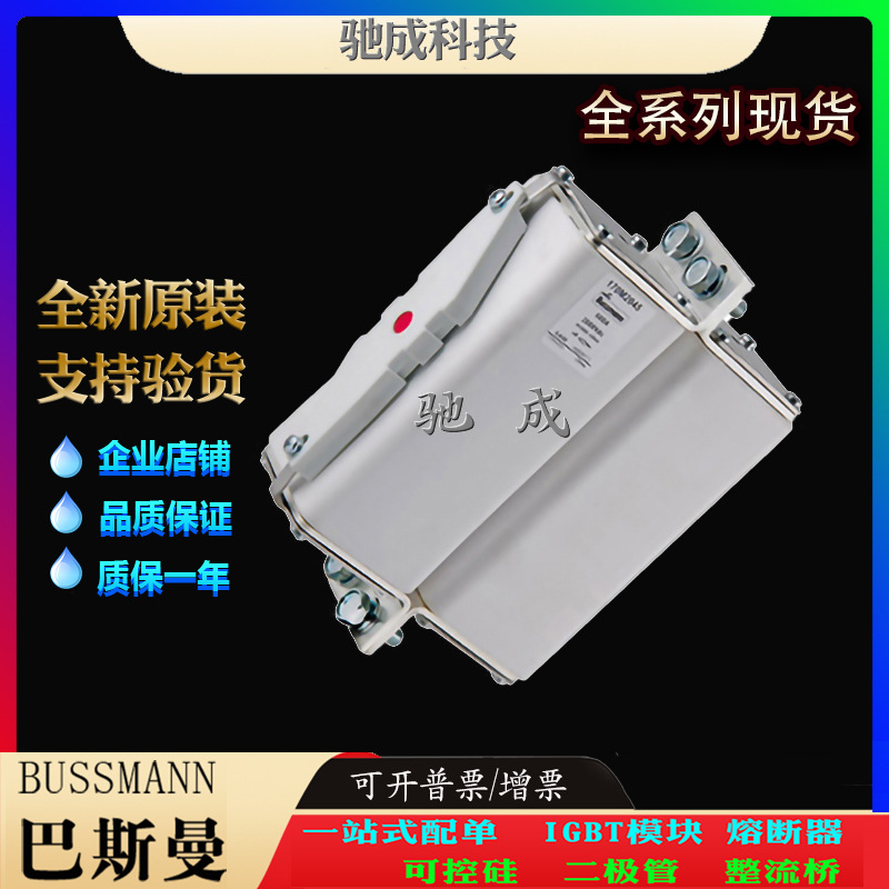 巴斯曼170M2045 170M2046 170M2047 品牌直销质优价廉 原装熔断器