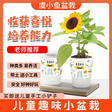 儿童种植绿植小盆栽盲盒幼儿园小学生植物生长观察发芽种子盒