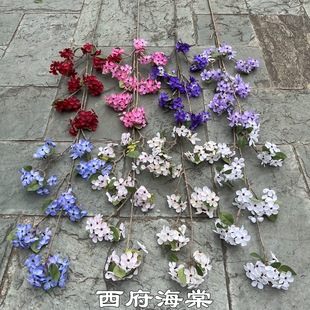 �¿��c����ѻ� �������� ��ɫ��ɫ�O�����滨��Yܛ�b�ٻ����l