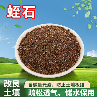 ��ʯ���l�@ˇ�l��������|����Nֲ���ܷ���������Û��ʯ�w��