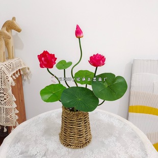 ����ɻ����~�ٺɻ�ˮ���b�˯ɏ���~���쾰���Ô[���S�����l