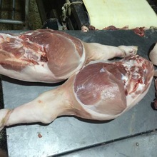 �S��ֱ�N����С�i�����������