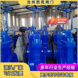 球墨铸铁材质软密封法兰电动闸阀Z945X 可做加长杆涡轮传动阀门