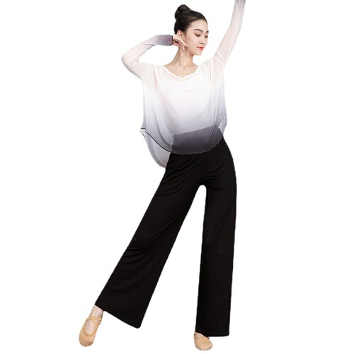 New classical dance clothes for women, floating gauze tops, practice clothes, Chinese style modern dance loose mesh long-sleeved suits