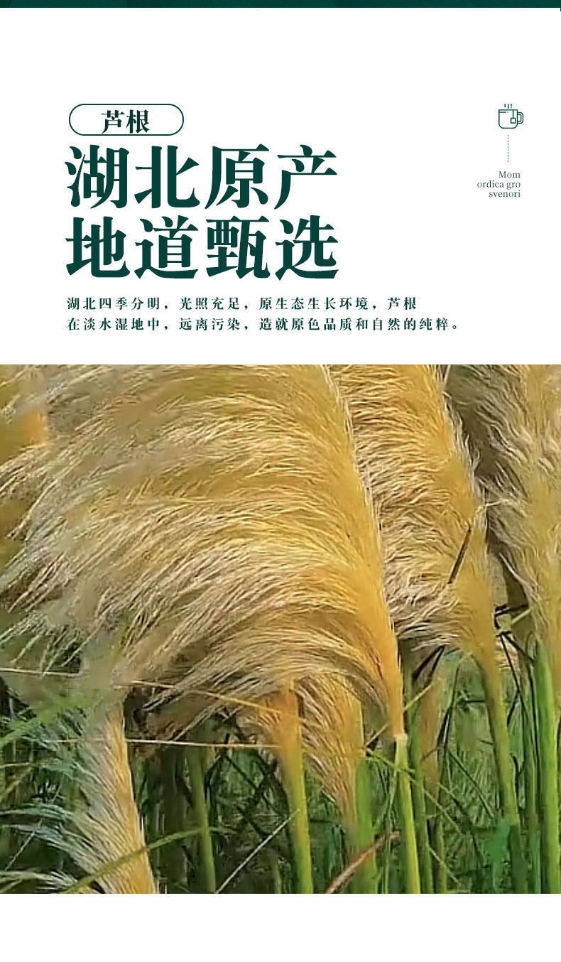 Dried Reed Rhizome Lu Gen 500g Wild Reed Root Tea Slices for Herbal Decoction and Daily Infusion key features