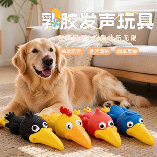 �羳�����������z�l���^�u����u����СȮĥ���␞�������