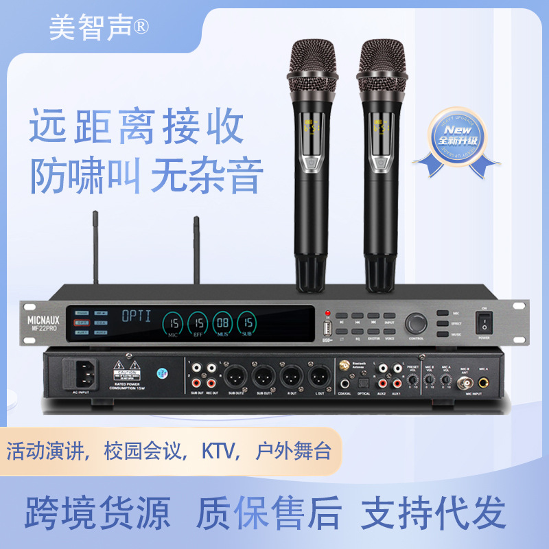 Microphone Wireless Microphone U-Band Anti-Howling Bluetooth Home Conference Outdoor Stage Performance Ktv Singing Remote Control