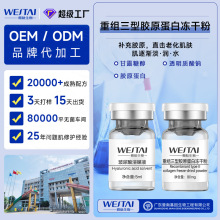 暨大面三型人源胶原蛋白导入填充紧致提升活性衰抗冻干粉OEM加工