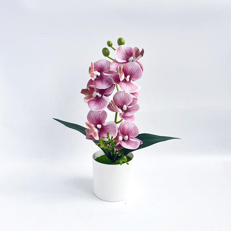 스트라이프 퍼플 (높이 31*가로 20cm)