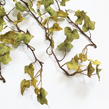 ���泣���ٴ�����������ֲ���b��쾰���ˇ�g��ɫ������