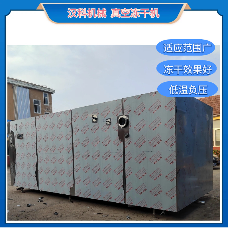 全自动冷冻干燥设备 菠萝蜜干真空冻干机 净菜清洗切片冻干生产线