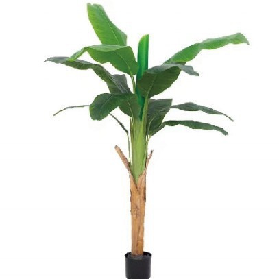 Árbol de plátano de simulación personalizado Árbol de plátano de simulación de venta caliente de Amazon Árbol de plátano de simulación de tiro de boda