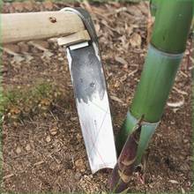 �ڹS���ٵ��P���S�������z�^�i��r�Ø䘶�Ӻ�呴���z�^����