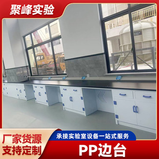 Pp Side Table All-Steel Experimental Table Laboratory Pp Side Table Steel-Wood Operating Table Hospital Test Table All-Steel Test Side Table