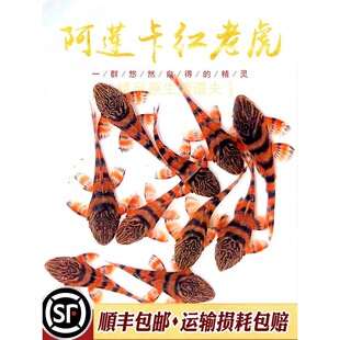 ��ɏ���t�ϻ�L397�����~�^�p�Ꭷ�~�ח������~�д��͵�ˮ���λ��w