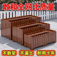 ����ľ�������ͥԺ�Nֲ���L���Ό�ľ�������⻨���̨�N�ˌ�����