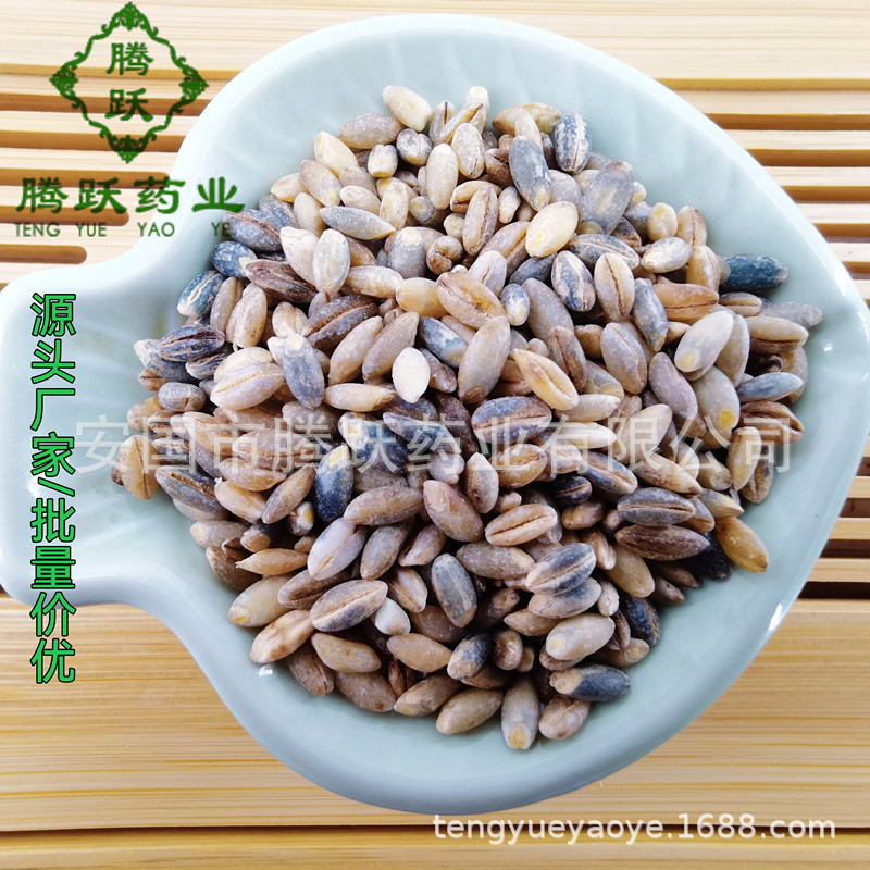 Highland Barley Qing Ke 裸大麦 Dried Grain 1kg Bag Sichuan Origin for Congee and Culinary Use key features