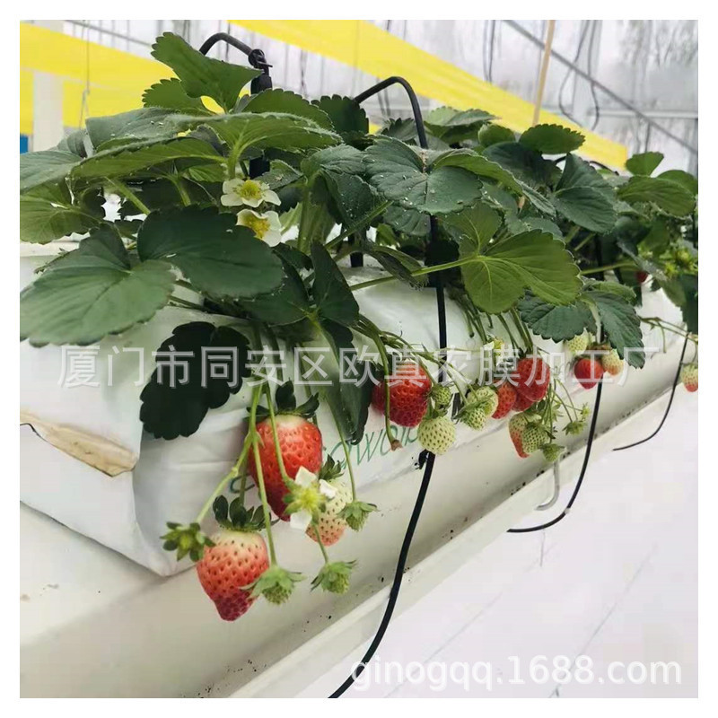 Agricultural greenhouse fruit and vegetable planting strips, soilless cultivation substrate strips, coconut fiber strips, direct sales from the manufacturer Agricultural greenhouse fruit and vegetable planting strips, soilless cultivation substrate strips, coconut fiber strips, direct sales from the manufacturer