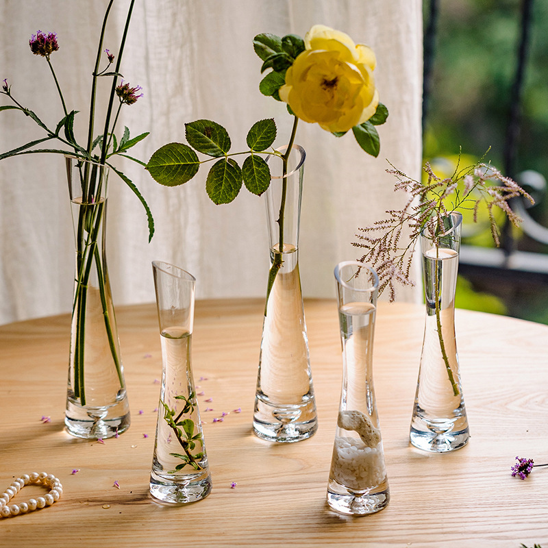 Modern water caliber bottle training device small caliber flower arrangement flower glass flower arrangement decoration light glass bottle luxury mini