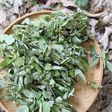 �V�|���h�r����β��������250g/500g������ˮ������������Ҝ���