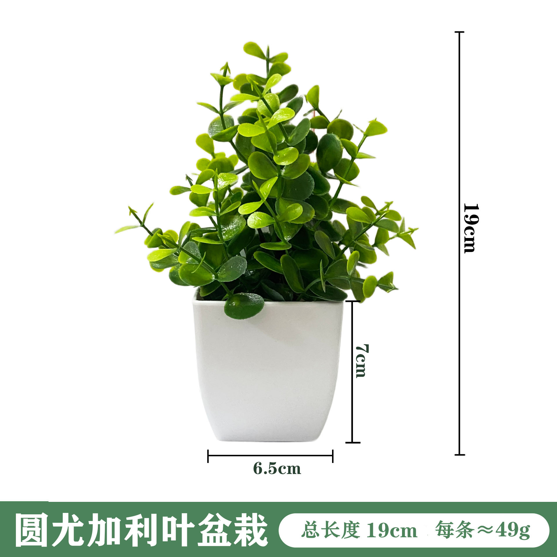 Simulación de maceta para decorar el hogar, plantas verdes, mesa de comedor de lavanda, decoración de oficina, plantas de romero image 14