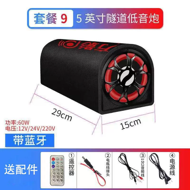 Портативный ноутбук, динамики, 12В, 24В, высокая мощность, Bluetooth, 220В