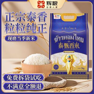 2025���´���̩�����������L������10����հ��b������������l�S