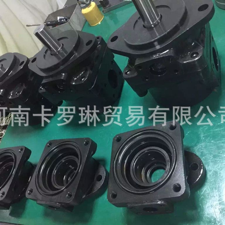 6J6600 - Accesorios de bomba de paleta hidráulica para carter 12F 14E nivelador