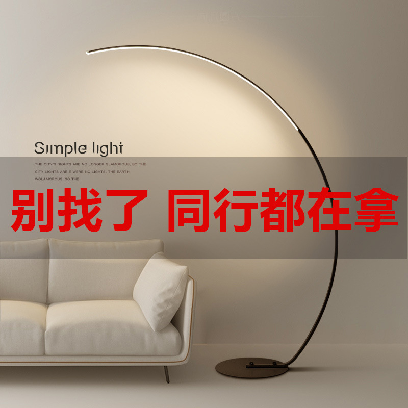 Amazon Cross-Border Floor Lamp Led Designer Art Model Room Living Room Creative Curved Normcore Ins Fishing Lamp