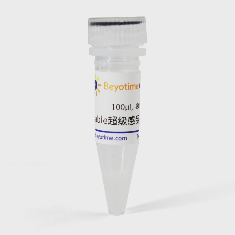 Stable超级感受态细胞 D1077S D1077M 碧云天生物|ms