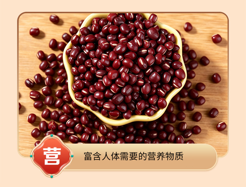 Roasted Red Adzuki Bean Hong Xiao Dou Vigna angularis Whole Grain for Grinding and Herbal Tea in use
