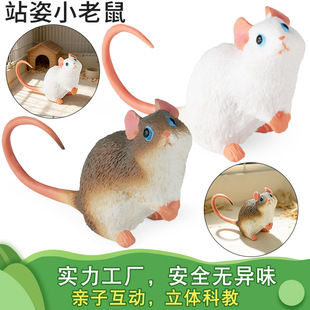 �羳���ķ������ģ������ϻ��{�Ӿd������Ϭţ���ɴ�����ţ�C��