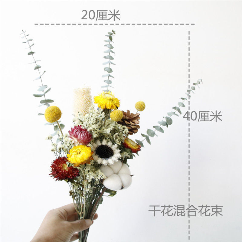 Eucalyptus Dried flowers Bouquet of flowers Air drying decorate photograph Decoration a living room a decoration rose Echinacea