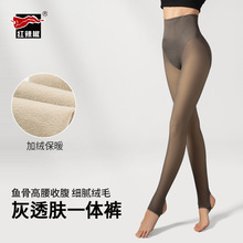 红辣椒灰透肤打底袜女收腰提臀假透肉连裤袜加绒加厚外穿光腿神器