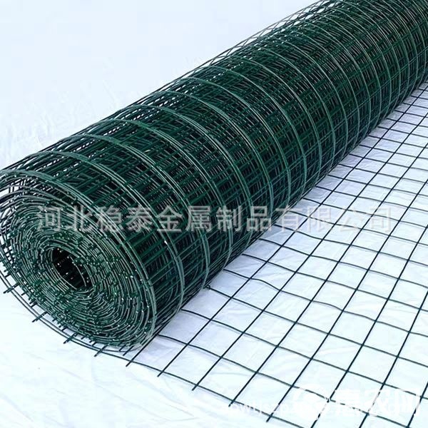 专业供应表面绿色涂塑1/2电焊荷兰网