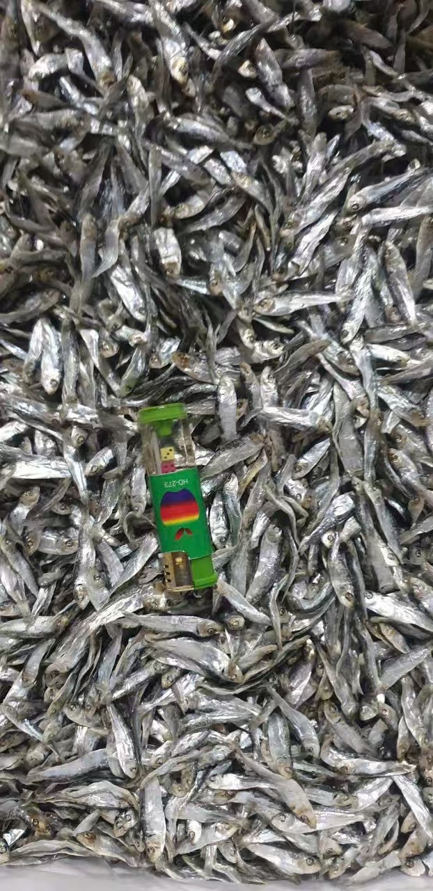 3-5小条淡干青鳞鱼小白条小公鱼优质干燥一手货源营养下手酒鱼干