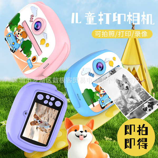 Polaroid