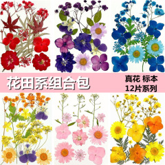 マイ峰花芸pressed flower組合せモデルドライ花エンボス材料バッグ卸売り真花植物標本